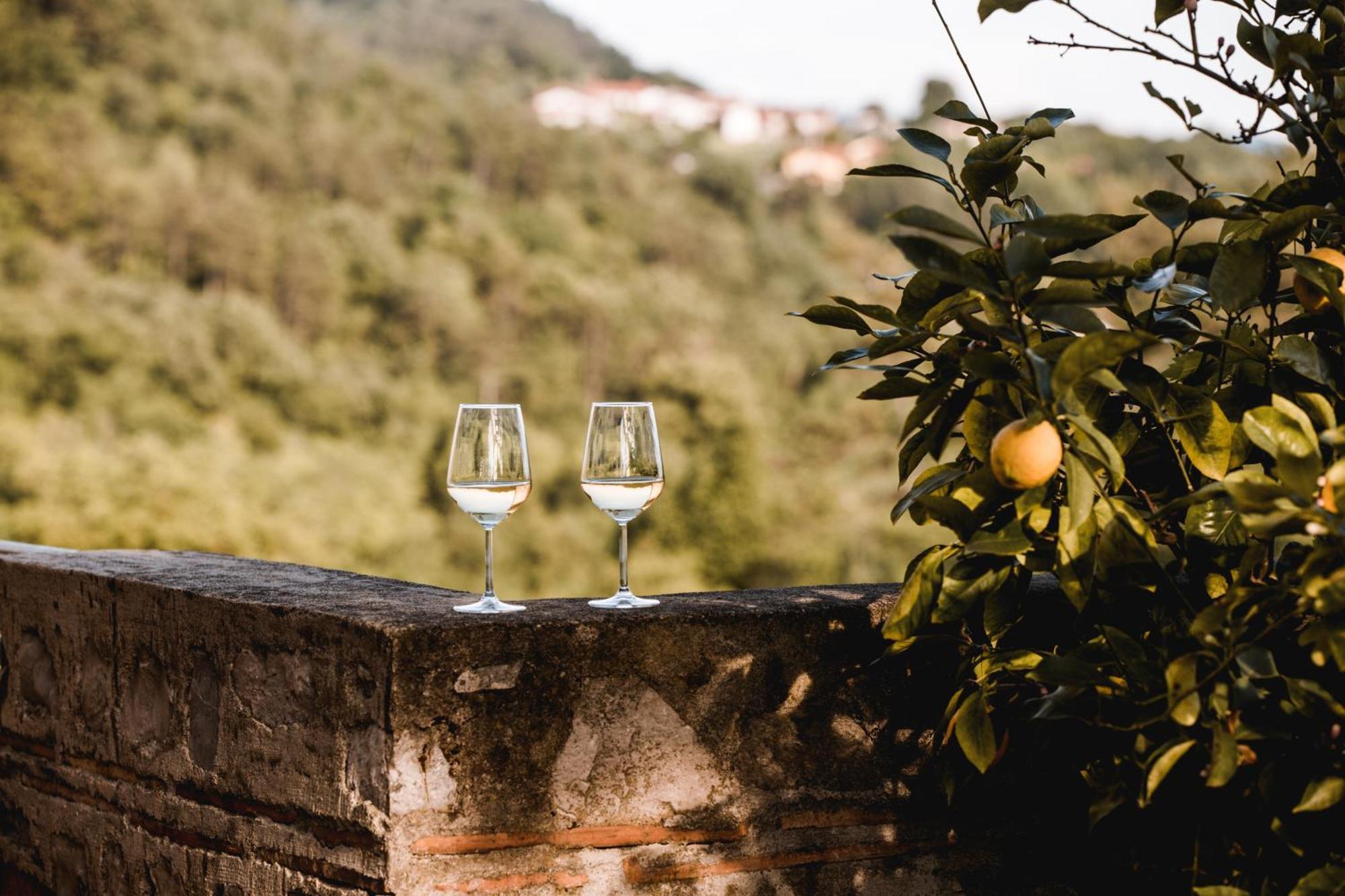 Ferienwohnung Vina Kobal, Kobal Family Estate Štanjel Exterior foto