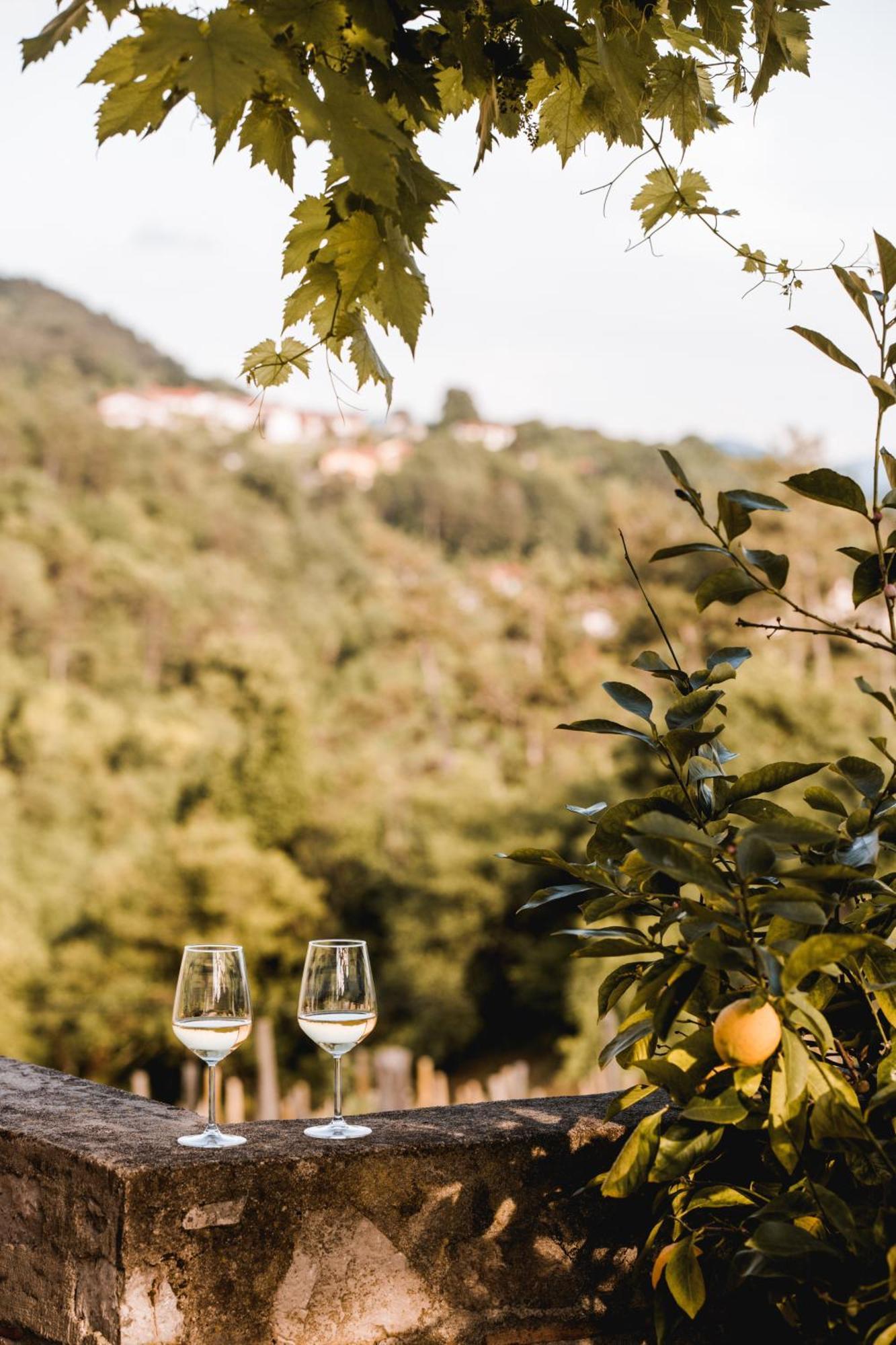 Ferienwohnung Vina Kobal, Kobal Family Estate Štanjel Exterior foto