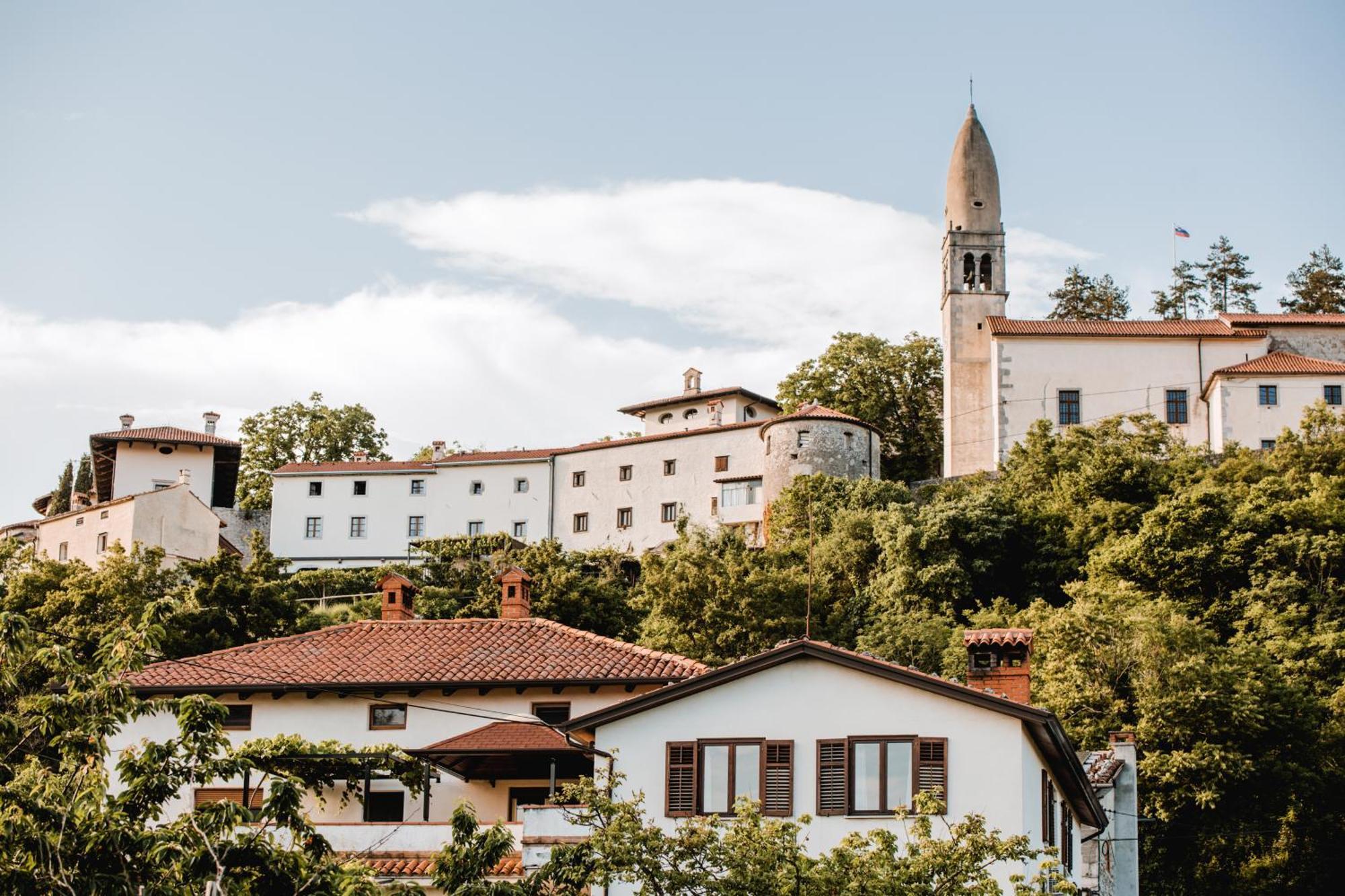 Ferienwohnung Vina Kobal, Kobal Family Estate Štanjel Exterior foto